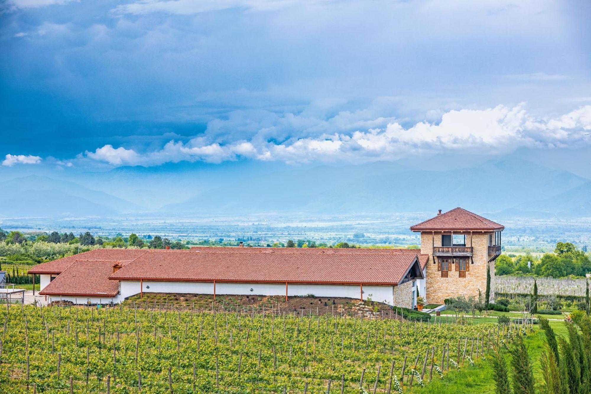 Chateau Mosmieri Hotel & Winery Телави Екстериор снимка