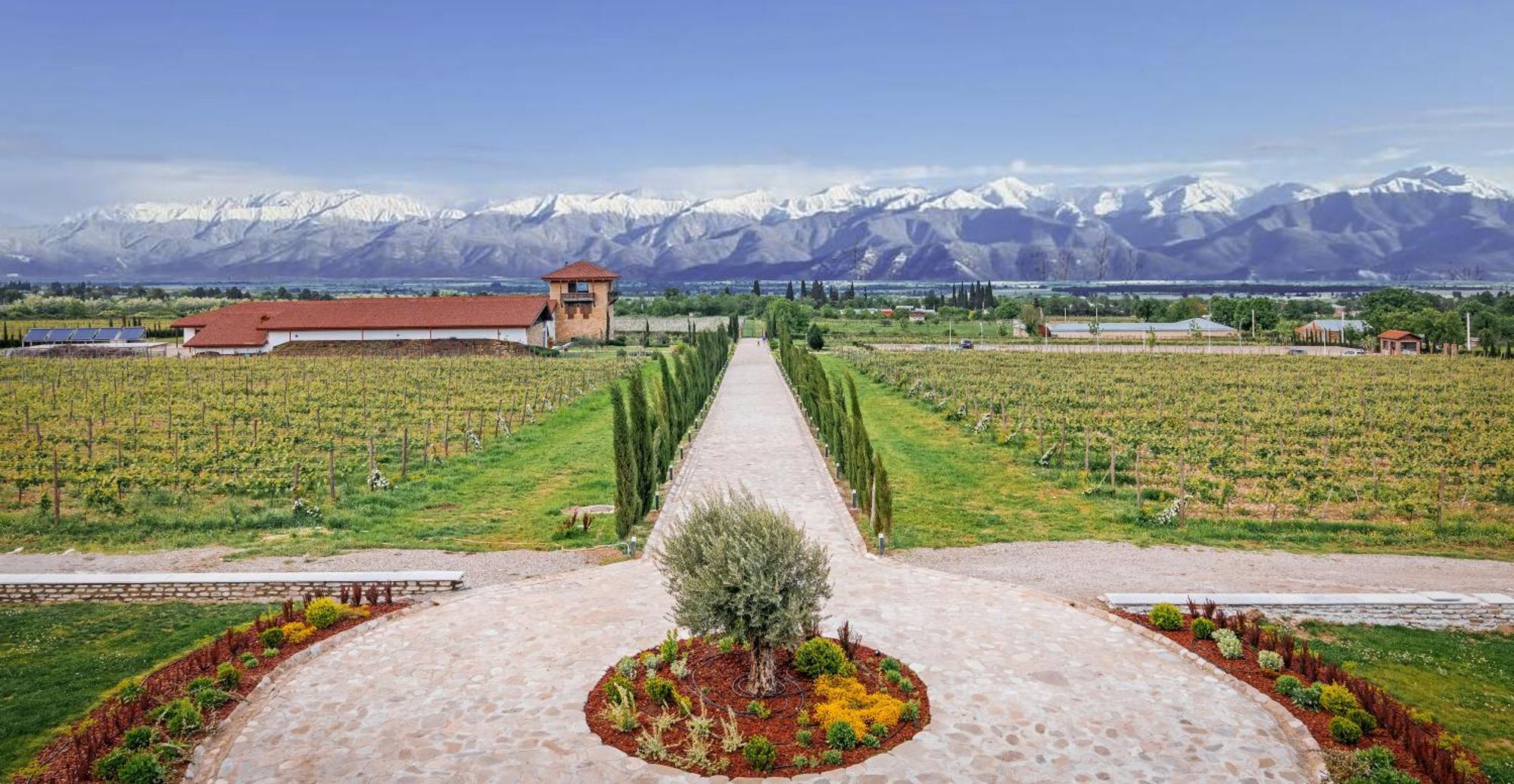 Chateau Mosmieri Hotel & Winery Телави Екстериор снимка
